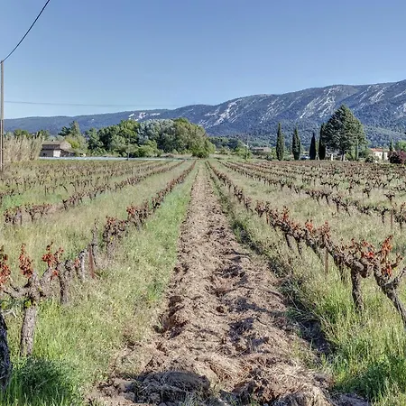 Charming Cottage In Opp De Amidst Vineyards *