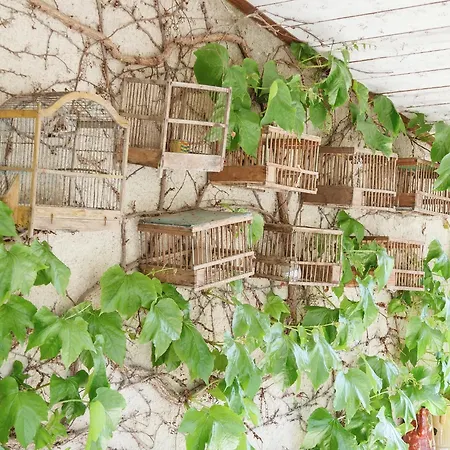 Charming Cottage In Opp De Amidst Vineyards Holiday home
