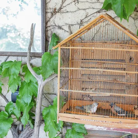 Holiday home Charming Cottage In Opp De Amidst Vineyards