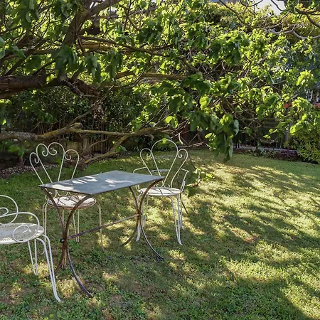 Holiday home Charming Cottage In Opp De Amidst Vineyards *